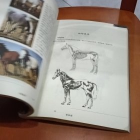 中国画技法教学丛书·动物卷