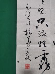 相振华 书法《毛泽东诗》（91*69.5cm）