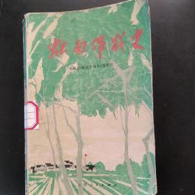 虹南作战史