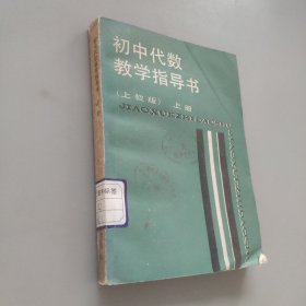 初中代数教学指导书上册