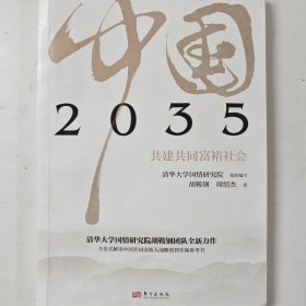 2035中国 共建共同富裕社会