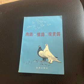 肉鸽信鸽观赏鸽 非馆藏@5008A