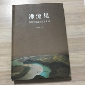 沸流集：高句丽及辽东史地论稿（16开精装 外壳品相如图）