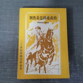 钢铁是怎样练成的 二十世纪外国文学丛书