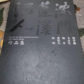 沈门蓬溪五人作品集【何开鑫 文永生 杨旻 黄胜凡 陈刚】精装大开本