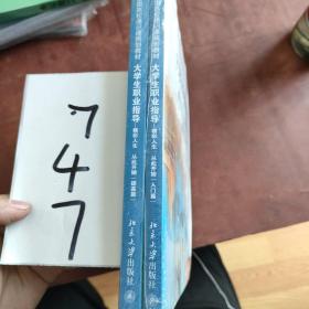 大学生职业指导：精彩人生 从此开始（入门篇+提高篇）/21世纪全国高校通识课规划教材