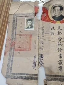 新亚补习学校修业证书 代数 几何 2张 1952年