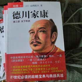 德川家康（第三部）：天下布武