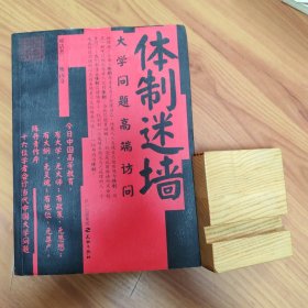 体制迷墙:大学问题高端访问 正版书籍，保存完好，实拍图片，一版一印