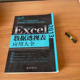 Excel 2013数据透视表应用大全