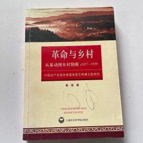 从暴动到乡村割据：1927~1929：中国共产党革命根据地是怎样建立起来的
