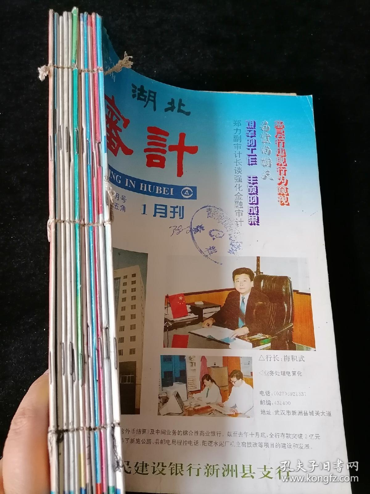 《湖北审计》月刊，1996年1-12期合订