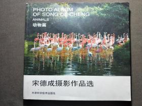 宋德成摄影作品选。