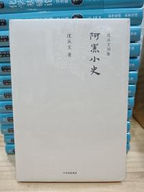 沈从文别集：阿黑小史（精装）