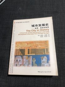 城市发展史：起源、演变和前景