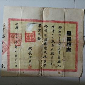 老毕业证（河南沁阳县赵寨完全小学）1954