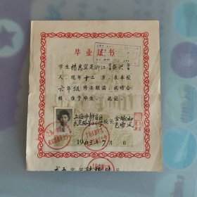 1963年上海市静安区武定路第五小学毕业证书