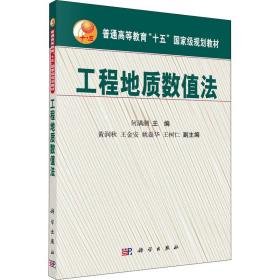 工程地质数值法 大中专理科数理化 作者 新华正版