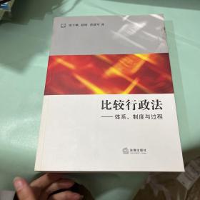 比较行政法：体系、制度与过程