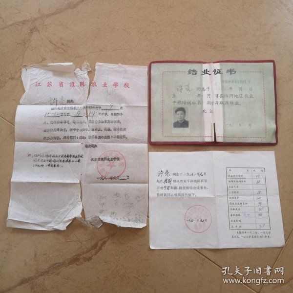 1981年，许亮（江苏省淮阴农业学校结业证书，成绩报告单）