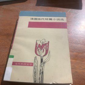 法国当代短篇小说选