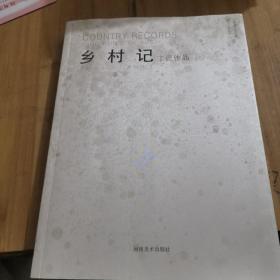 乡村记：丁昆作品（2016-2017） （大16开定价288元 正版