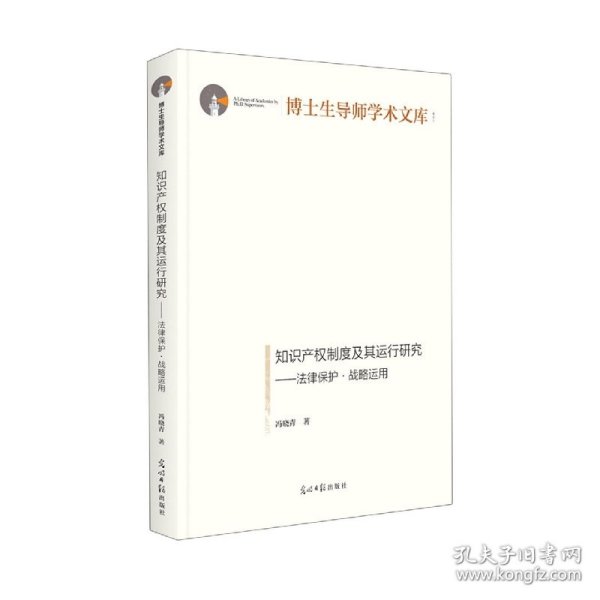 知识产权制度及其运行研究：法律保护·战略运用