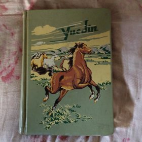 山東省龍寶章筆記一本寫(xiě)的很滿（美術(shù)圖案圖形教授）