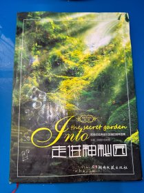 走进神秘园：新世纪经典音乐改编的钢琴曲（典藏版第2版）