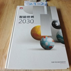 智能世界2030