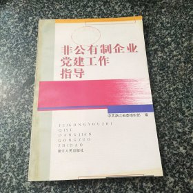 非公有制企业党建工作指导