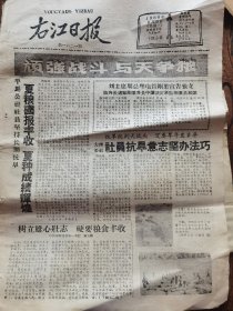 《右江日报》【田东县）平马公社社员坚持长期抗旱，夏粮喜报丰收，夏种成绩辉煌；（百色县）大楞公社社员抗旱意志坚办法巧；开展突击劳动定额运动，（凤山县）坡心大队四天完成了五天的生产任务；田林县大力筹集种子支援扩种；（东兰县）金谷公社扩大小米种植面积】