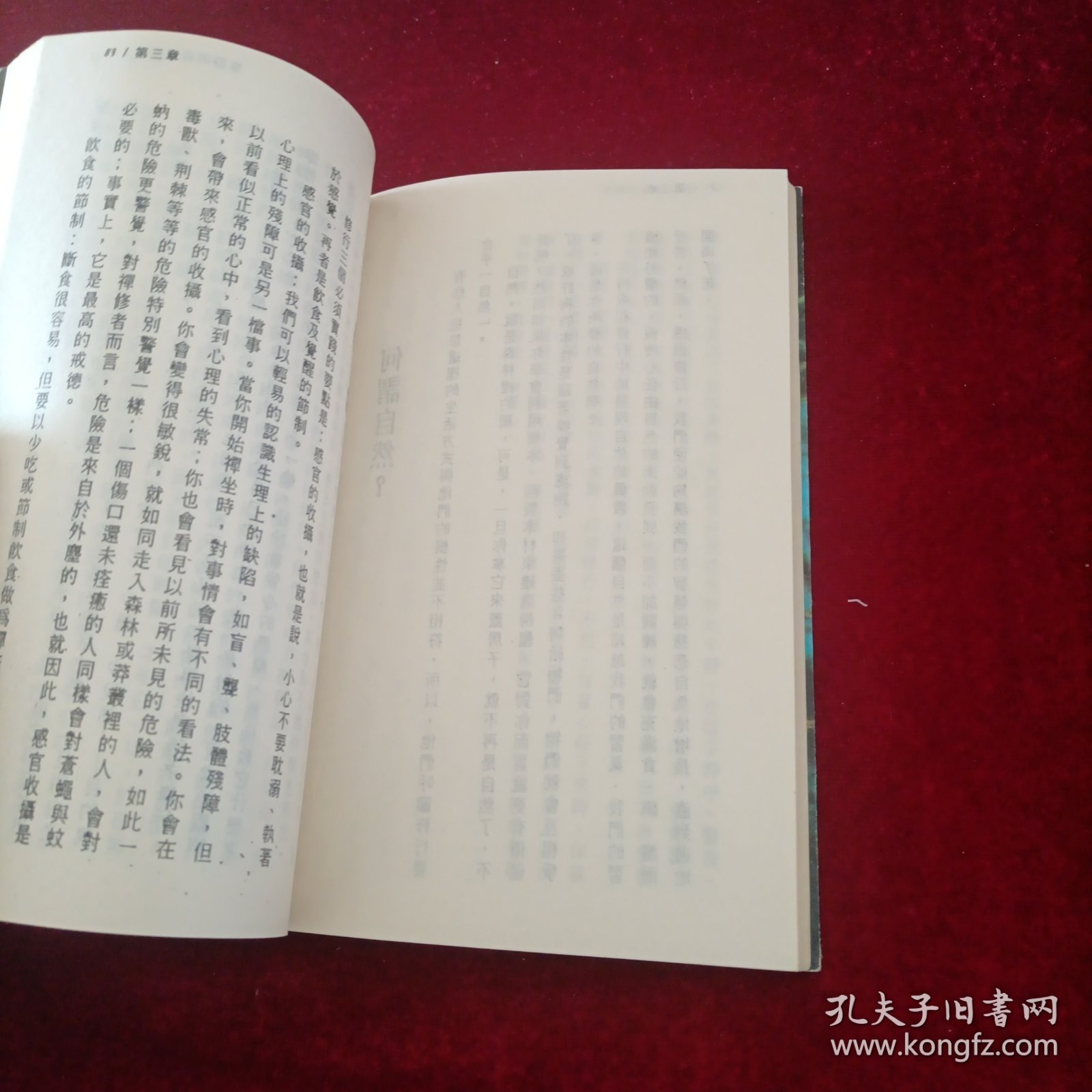 宁静的森林水池：阿姜查的内观禅修