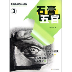 素描基礎(chǔ)核心訓(xùn)練 石膏五官 書籍 滿額減9787534444296