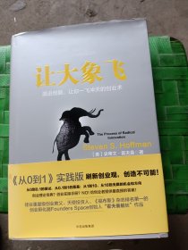 让大象飞:激进创新，让你一飞冲天的创业术