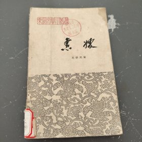 惠嫂（1964年）