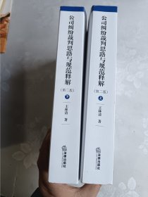 纠纷裁判思路与规范释解 第二版 上下两册合售