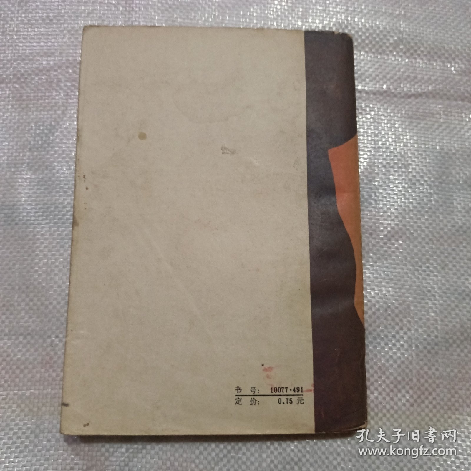 点击查看原图 秋海棠
