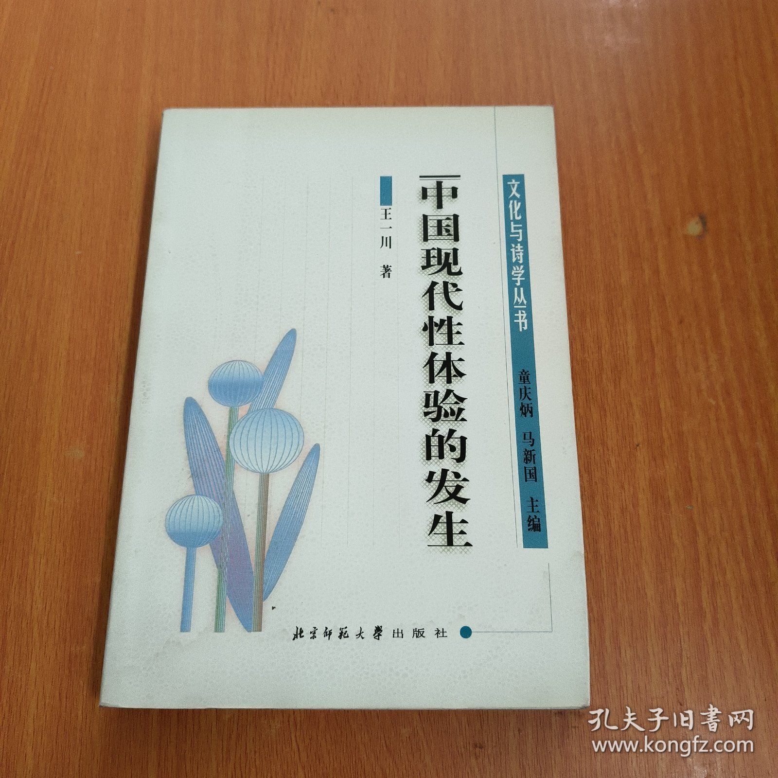 中国现代性体验的发生：清末民初文化转型与文学