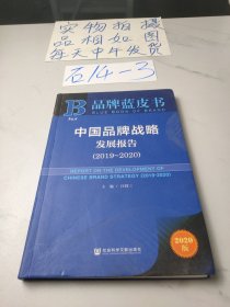 品牌藍(lán)皮書：中國品牌戰(zhàn)略發(fā)展報告（2019—2020）
