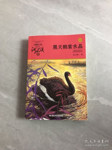 动物小说大王沈石溪·品藏书系：黑天鹅紫水晶