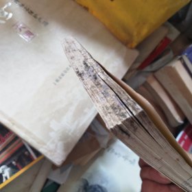 散文阅读指导与练习