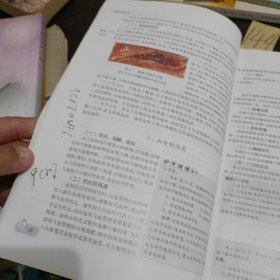 病理学基础（中职）（第3版）