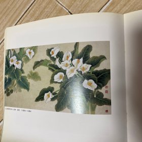 金纳重彩作品集——当代中国画新技法丛书