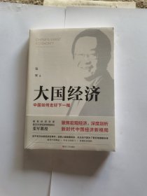 大国经济：中国如何走好下一程