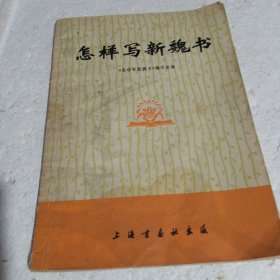 怎样写新魏书