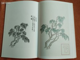 正版现货 水墨芥子园 树谱 原价68 特价45元