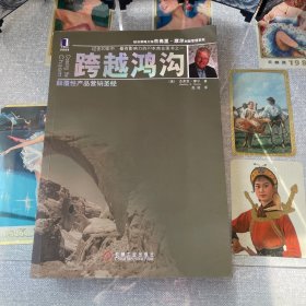 杰弗里·摩尔创新管理系列（3册合售）：龙卷风暴，断层地带，跨越鸿沟