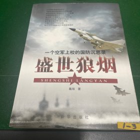 盛世狼烟：一个空军上校的国防沉思录