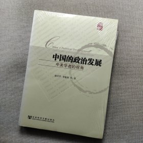 中国的政治发展：中美学者的视角